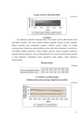 Gyventojų gerbūvis 12 puslapis