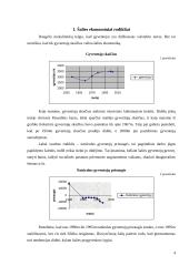 Gyventojų gerbūvis 4 puslapis