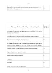 Gyventojų pajamų mokesčio deklaravimas 13 puslapis