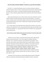 Gyventojų pajamų mokesčio deklaravimas 3 puslapis