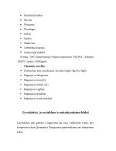 Gyvsidabris (Hydrargyrum) 4 puslapis