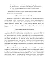 Globalizacijos procesai pasaulio ekonomikoje 11 puslapis