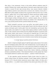 Globalizacijos procesai pasaulio ekonomikoje 12 puslapis