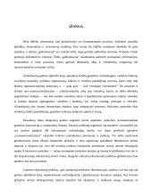 Globalizacijos procesai pasaulio ekonomikoje 3 puslapis