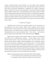 Globalizacijos procesai pasaulio ekonomikoje 10 puslapis