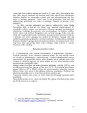 Globalizavimas – esmė, rodikliai ir pagrindinės problemos 17 puslapis