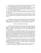 Globalizavimas – esmė, rodikliai ir pagrindinės problemos 5 puslapis