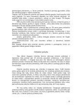 Globalizavimas – esmė, rodikliai ir pagrindinės problemos 10 puslapis