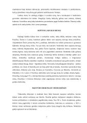 Gotika mene 7 puslapis