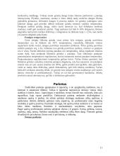 Grindinės dangos 11 puslapis