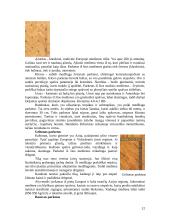 Grindinės dangos 12 puslapis