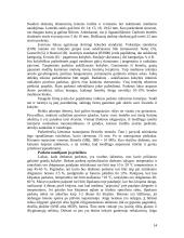 Grindinės dangos 14 puslapis