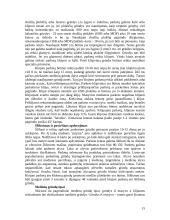 Grindinės dangos 15 puslapis