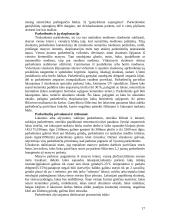 Grindinės dangos 17 puslapis