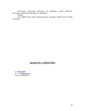 Grindinės dangos 18 puslapis