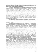 Grindinės dangos 8 puslapis