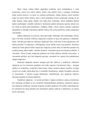 Grįžusių iš įkalinimo įstaigų adaptacijos sunkumai 4 puslapis