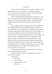 Grūdinimasis ir sveikata 2 puslapis