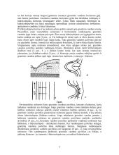 Gruntiniai vandenys, jų ypatybės, tekėjimas bei maitinimas 5 puslapis