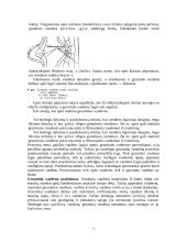 Gruntiniai vandenys, jų ypatybės, tekėjimas bei maitinimas 7 puslapis