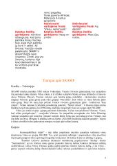 Grupė Skamp 8 puslapis