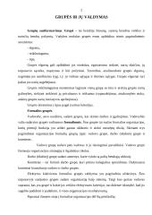 Grupės ir konfliktai 2 puslapis