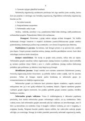 Grupės ir konfliktai 4 puslapis