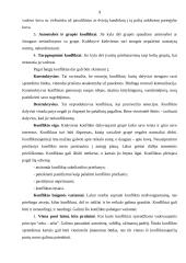 Grupės ir konfliktai 9 puslapis
