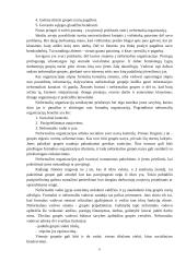 Grupės. Formalios grupės, neformalios grupės. Grupių valdymo ypatumai 6 puslapis