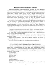 Grupės. Formalios grupės, neformalios grupės. Grupių valdymo ypatumai 7 puslapis