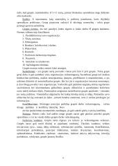 Grupės. Formalios grupės, neformalios grupės. Grupių valdymo ypatumai 8 puslapis
