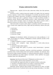Grupės. Formalios grupės, neformalios grupės. Grupių valdymo ypatumai 9 puslapis