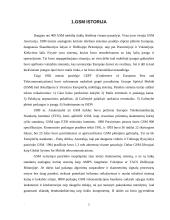 GSM mobiliųjų telefonų tinklai 2 puslapis