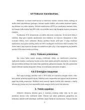 GSM mobiliųjų telefonų tinklai 12 puslapis