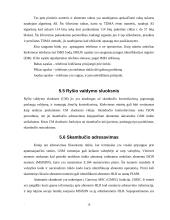 GSM mobiliųjų telefonų tinklai 16 puslapis