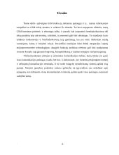 GSM mobiliųjų telefonų tinklai 18 puslapis