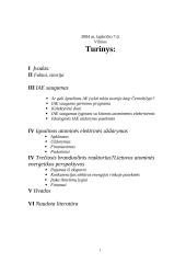 Ignalinos atominė elektrinė - saugumas, uždarymas bei perspektyvos 2 puslapis
