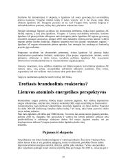 Ignalinos atominė elektrinė - saugumas, uždarymas bei perspektyvos 11 puslapis