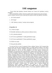 Ignalinos atominė elektrinė - saugumas, uždarymas bei perspektyvos 4 puslapis