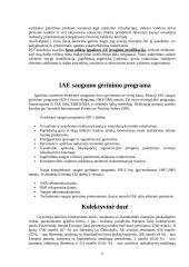 Ignalinos atominė elektrinė - saugumas, uždarymas bei perspektyvos 6 puslapis