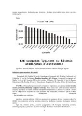 Ignalinos atominė elektrinė - saugumas, uždarymas bei perspektyvos 7 puslapis