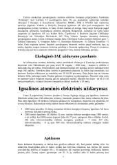 Ignalinos atominė elektrinė - saugumas, uždarymas bei perspektyvos 8 puslapis