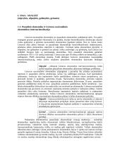 Ilgalaikė Lietuvos ekonomikos plėtros strategija 2 puslapis