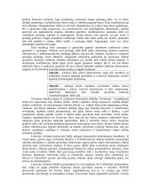 Ilgalaikė Lietuvos ekonomikos plėtros strategija 13 puslapis