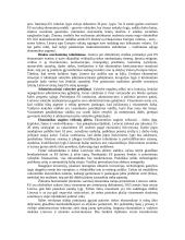 Ilgalaikė Lietuvos ekonomikos plėtros strategija 20 puslapis