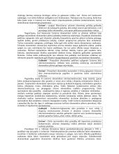 Ilgalaikė Lietuvos ekonomikos plėtros strategija 4 puslapis