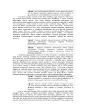 Ilgalaikė Lietuvos ekonomikos plėtros strategija 6 puslapis