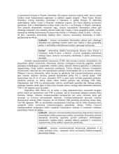 Ilgalaikė Lietuvos ekonomikos plėtros strategija 7 puslapis