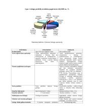 Ilgalaikio turto įsigijimo finansavimo parinkimas 15 puslapis