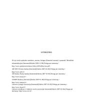 Ilgalaikio turto įsigijimo finansavimo parinkimas 19 puslapis